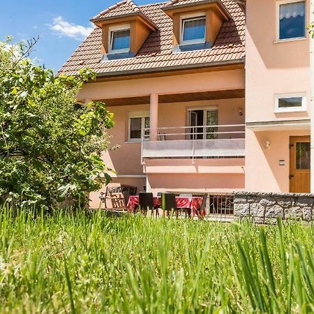 Chez Christian Apartment Breitenbach-Haut-Rhin Екстериор снимка