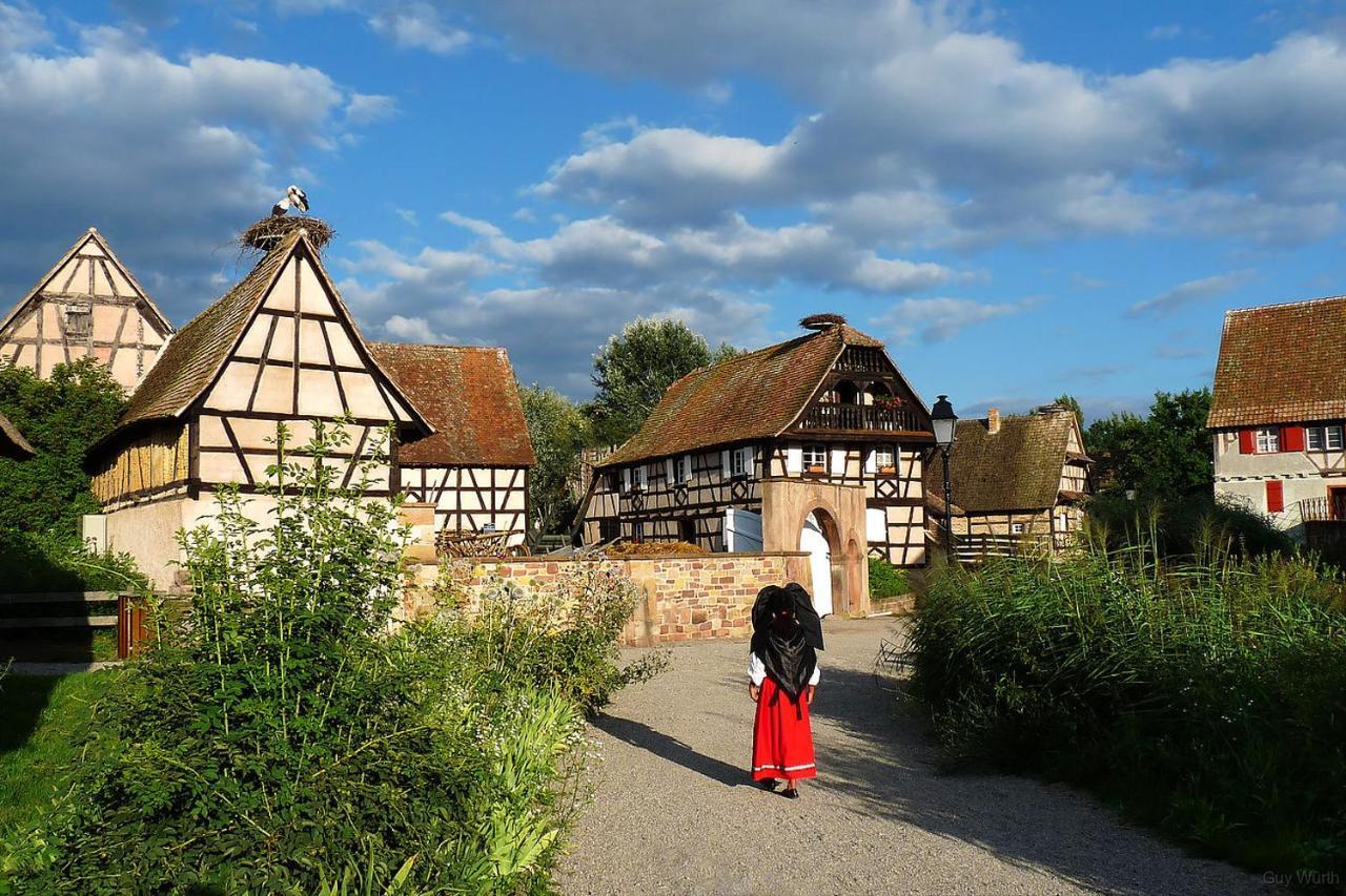 Chez Christian Apartment Breitenbach-Haut-Rhin Екстериор снимка