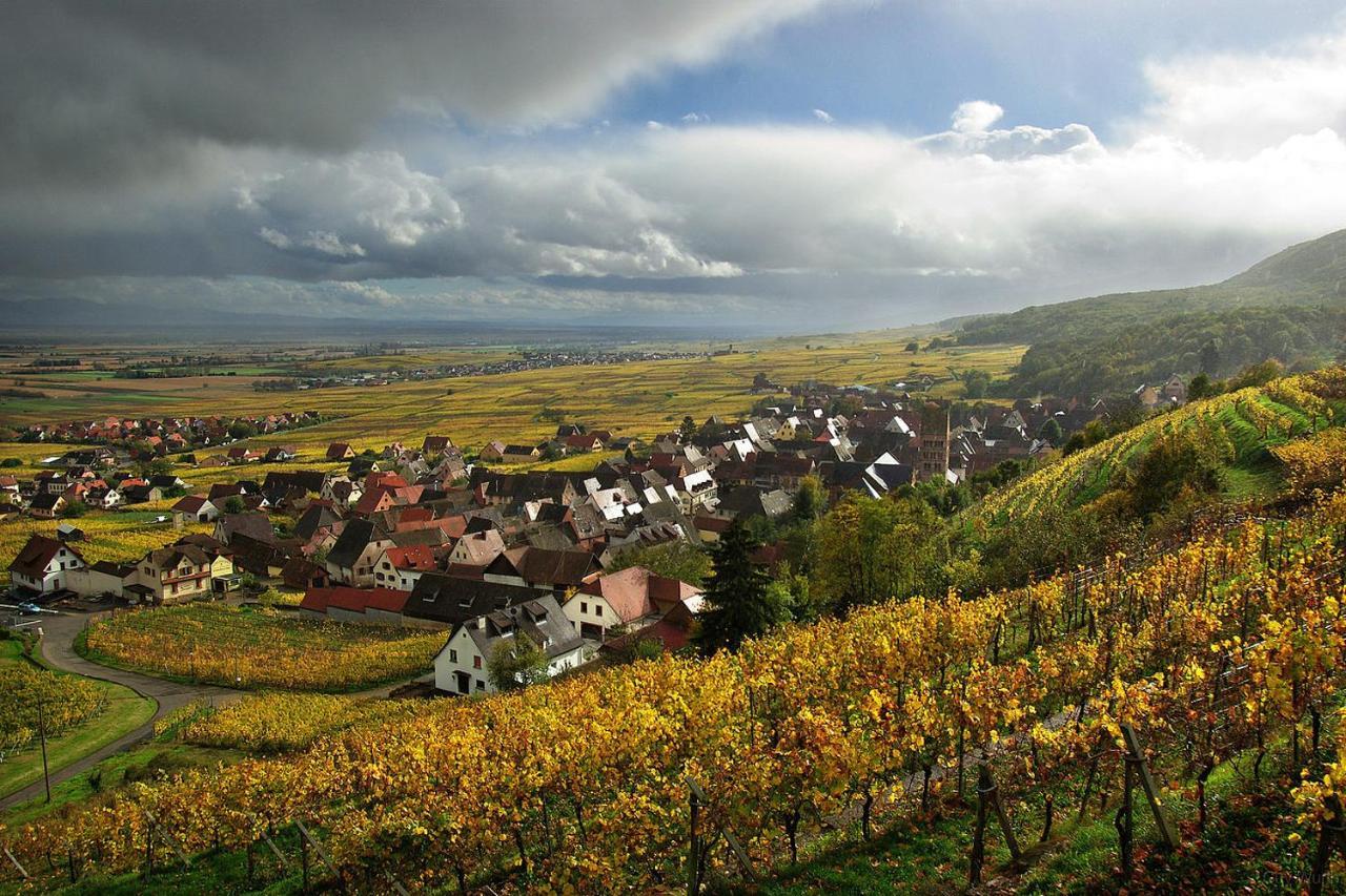 Chez Christian Apartment Breitenbach-Haut-Rhin Екстериор снимка