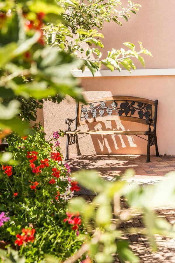 Chez Christian Apartment Breitenbach-Haut-Rhin Екстериор снимка